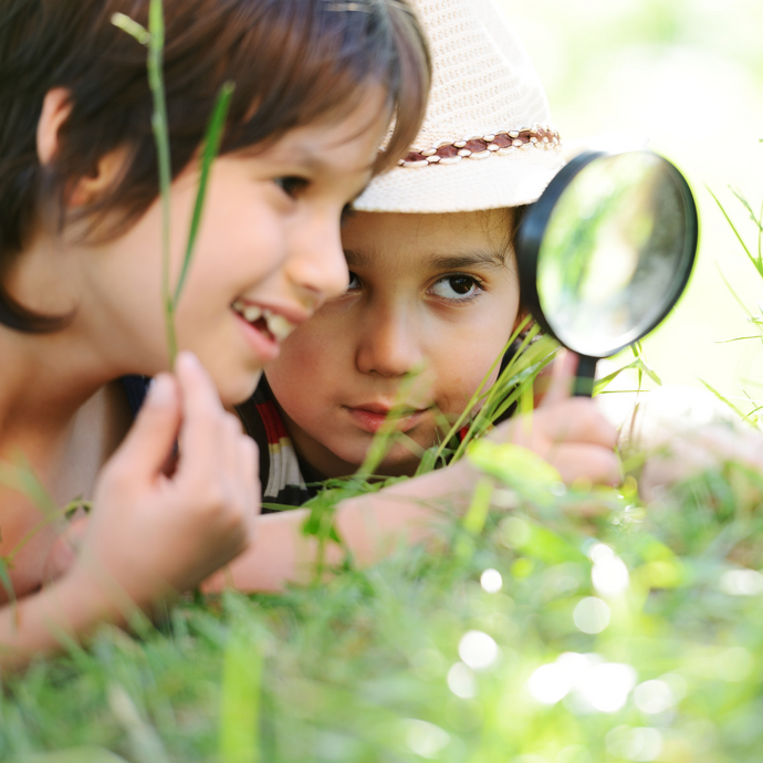 Explore Montessori & Academy Summer Camp Week 4 (June 30-July 3, 2024)