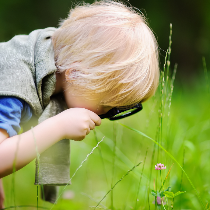 Explore Montessori & Academy Summer Camp Week 10 (August 11-15, 2025)