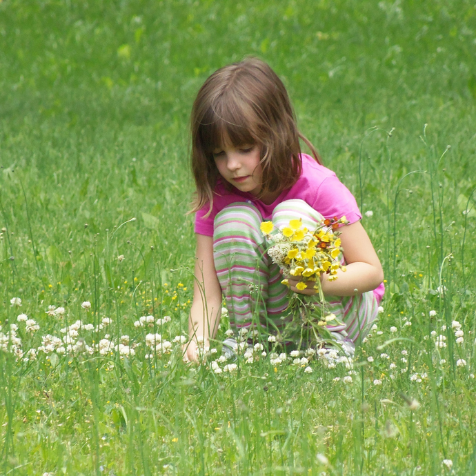 Explore Montessori & Academy Summer Camp Week 6 (July 14-18, 2024)