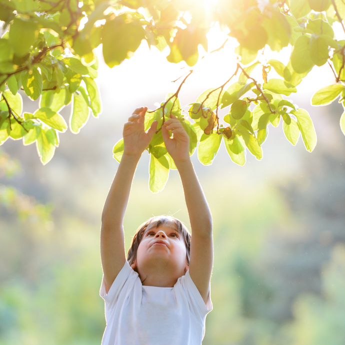 Explore Montessori & Academy Summer Camp Week 5 (July 7-11, 2025)