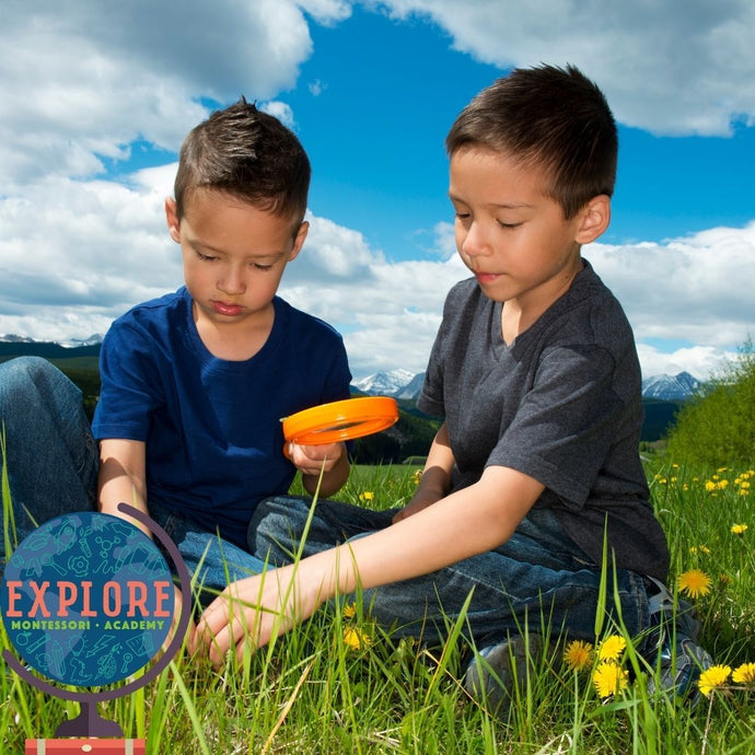 Explore Montessori & Academy Summer Camp Week 2 (June 16-20, 2025)