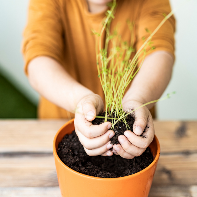 Dino Drop-In Summer Camp Week 5: July 7-11, 2025: Plants